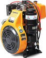 4LD820 - 17HP