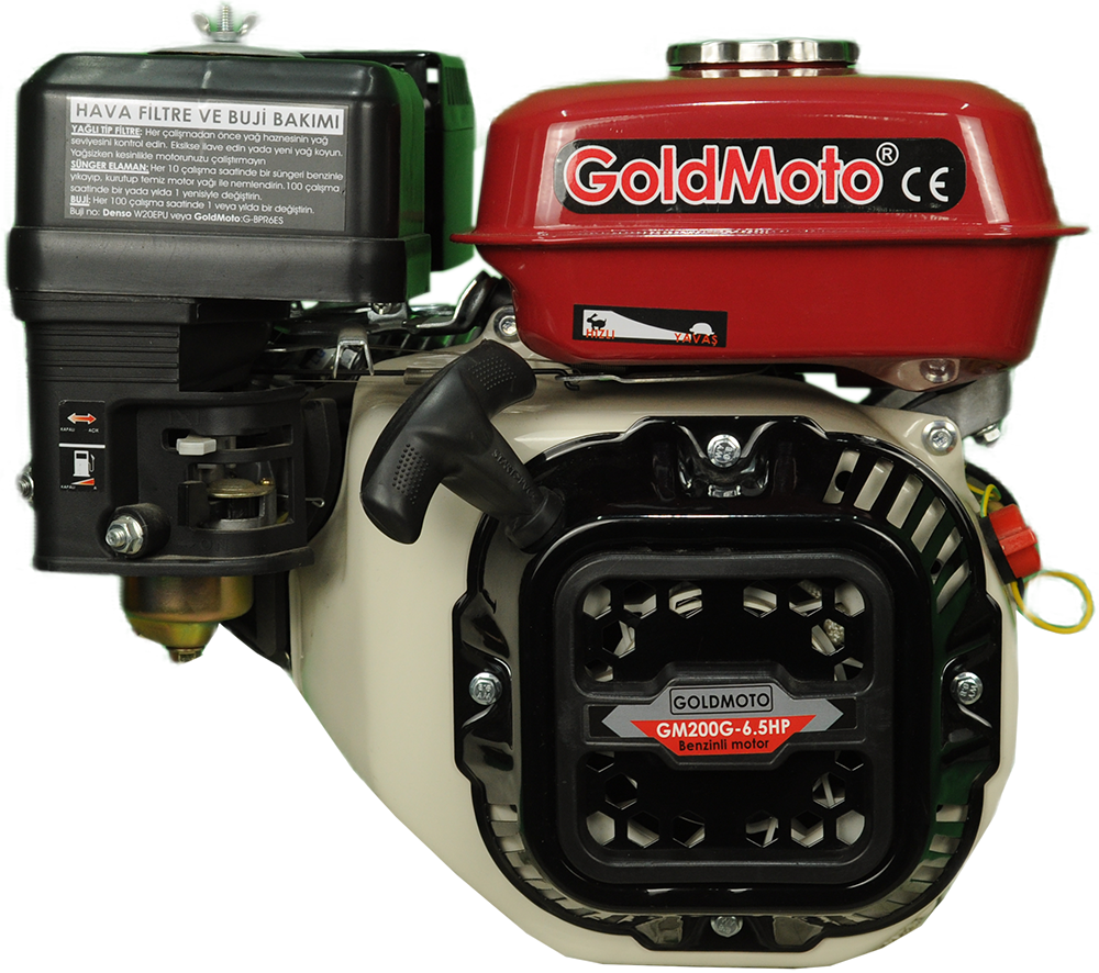 GoldMoto GM200G Benzinli Motor GoKart 6,5 Hp İpli