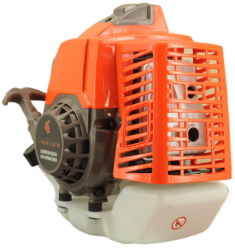 GoldMoto GM48F Benzinli Motor 2.7Hp 63cc