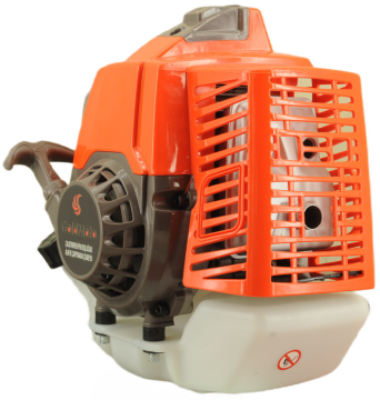 GoldMoto GM48F Benzinli Motor 2.7Hp 63cc