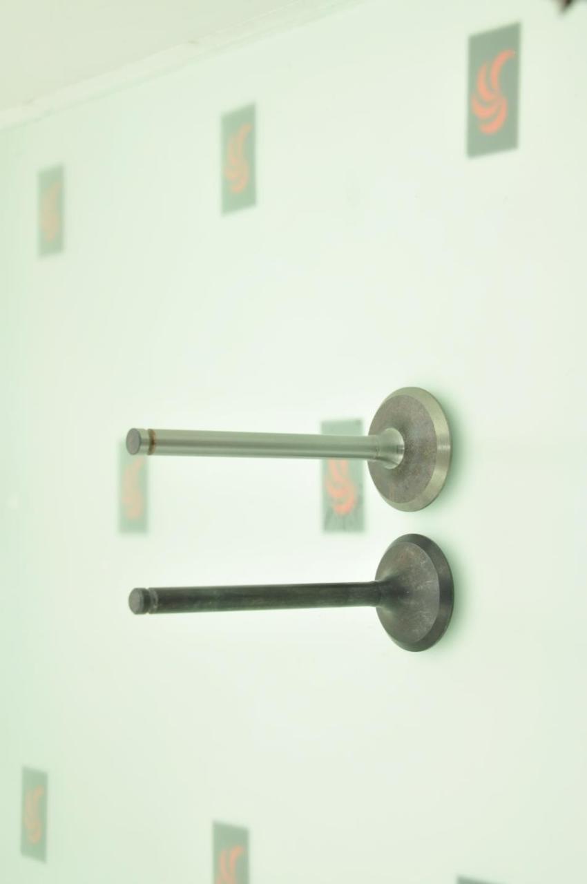 Supap Emme ve Egzoz Vanguard 9Hp B715754SM