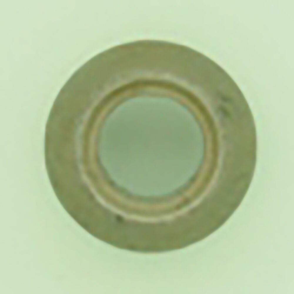 KÜLBÜTÖR SAPLAMA AYAR SOMUNU (TOPU) CH5 CH6