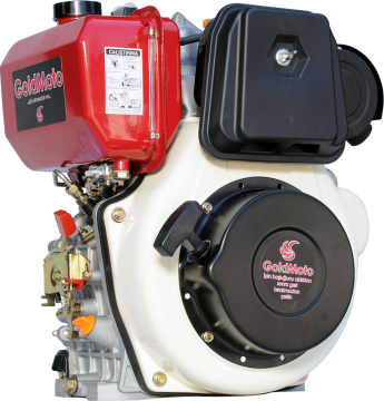 GoldMoto Dizel Motor 10 Hp Marşlı GM186FEN-G6