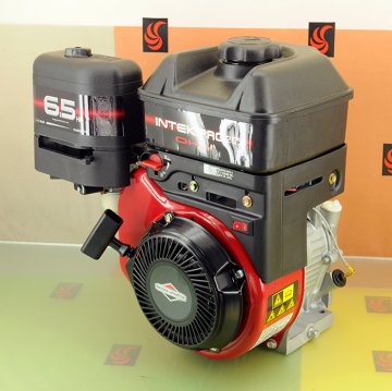 Briggs & Stratton İntek Pro 205 Serisi 6,5Hp Benzinli Motor Krank Mili Konik 1220320166B8R7001