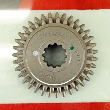 Bertolini 215 Vites Dişlisi YF1400807