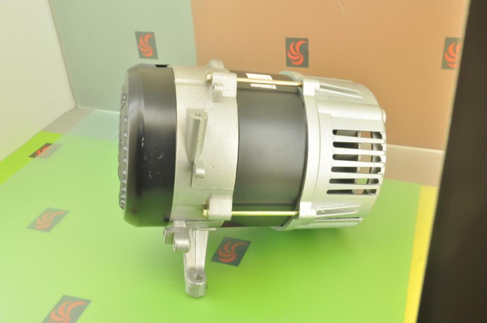 Alternatör Komple Dizel Monofaze 3Kw 3,75Kva D3000-001