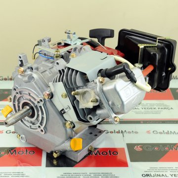 Briggs & Stratton Vanguard™ 6Hp Benzinli Motor Krank Mili Konik 1184320137E1