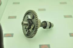 SZ1271090910  EKSANTRİK DİŞLİSİ VE MİLİ