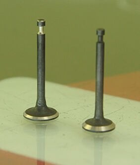 SUBAP EMME VE EGZOZ TAKIM