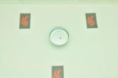 SSM8010100  DON TAPASI