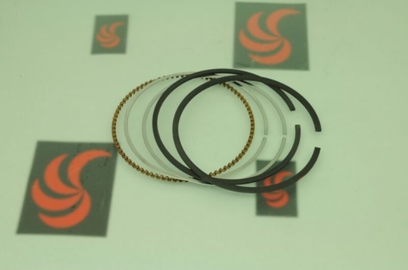 Briggs & Stratton Segman Takımı Std Q 5/6 68.20x1x1,20x2 B795431