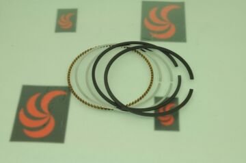 Briggs & Stratton Segman Takımı Std Q 5/6 68.20x1x1,20x2 B795431