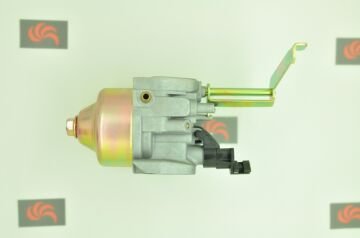 GoldMoto Karbüratör Komple P19-1F