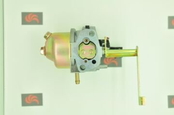 GoldMoto Karbüratör Komple P19-1F