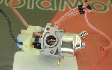 GoldMoto Karbüratör Komple P19D-1