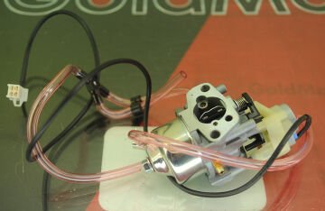 GoldMoto Karbüratör Komple P19D-1