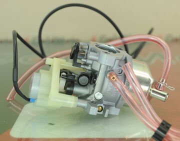 GoldMoto Karbüratör Komple P19D-1