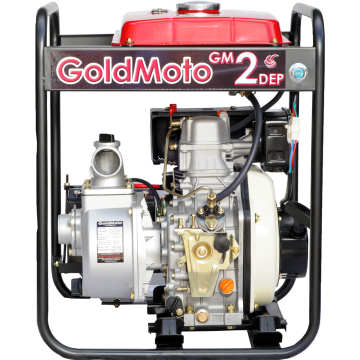 GoldMoto GM2DEP Dizel Su Pompası 2''