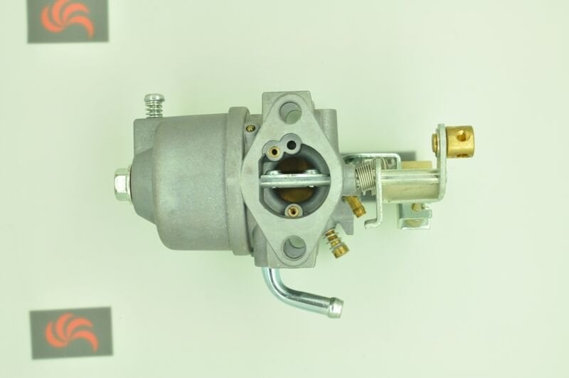 GoldMoto Karbüratör Komple P20D-1