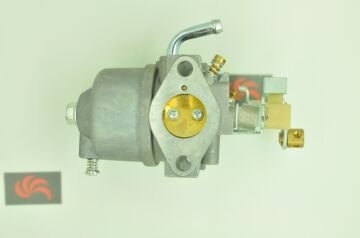 GoldMoto Karbüratör Komple P20D-1