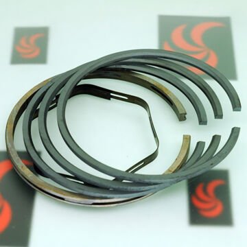 Segman Takımı 0,10 9hp Wısconsın 76,25mm